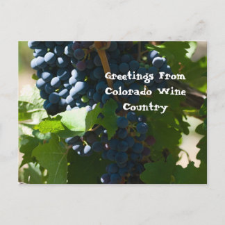 Greetings from Colorado Wine Country Postcard