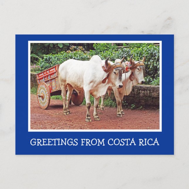 GREETINGS FROM COSTA RICA/OXCART AND OXEN POSTCARD (Front)