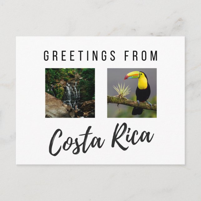 Greetings from Costa Rica Photo Postcard (Front)