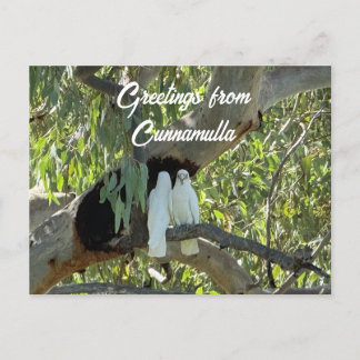 Greetings from Cunnamulla Postcard