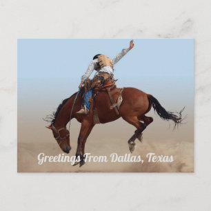 Greetings From Dallas, Texas Rodeo Postcard