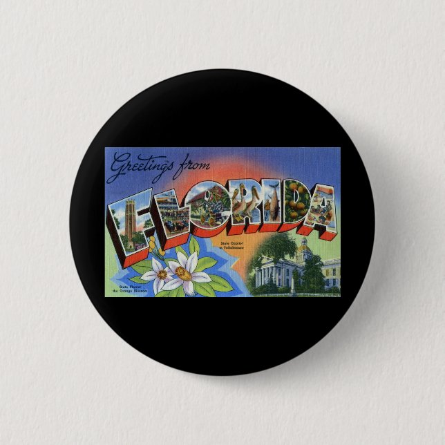 Greetings from Florida 6 Cm Round Badge (Front)