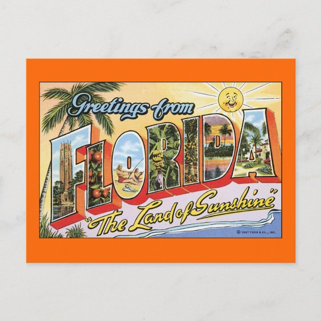 Greetings From Florida Postcard (Front)