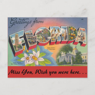 Greetings from FLORIDA Postcard