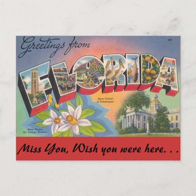 Greetings from FLORIDA Postcard (Front)