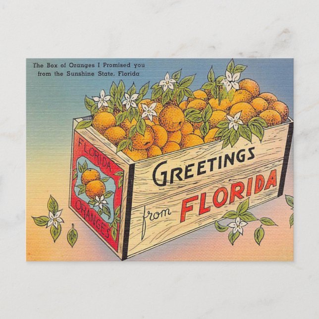 Greetings from Florida! Postcard (Front)