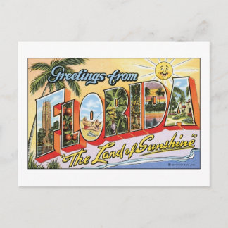 Greetings from Florida Postcard