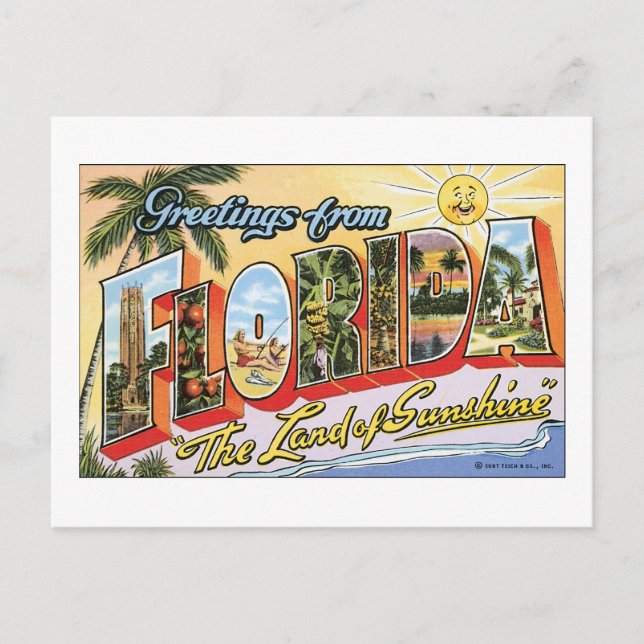 Greetings from Florida Postcard (Front)