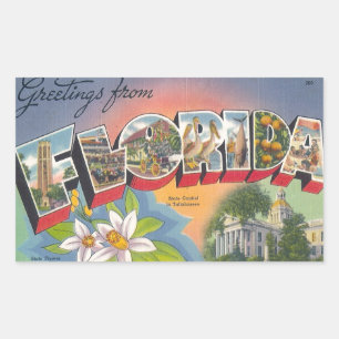Greetings from FLORIDA Rectangular Sticker