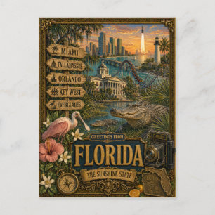 Greetings From Florida   Vintage Retro Art Postcard