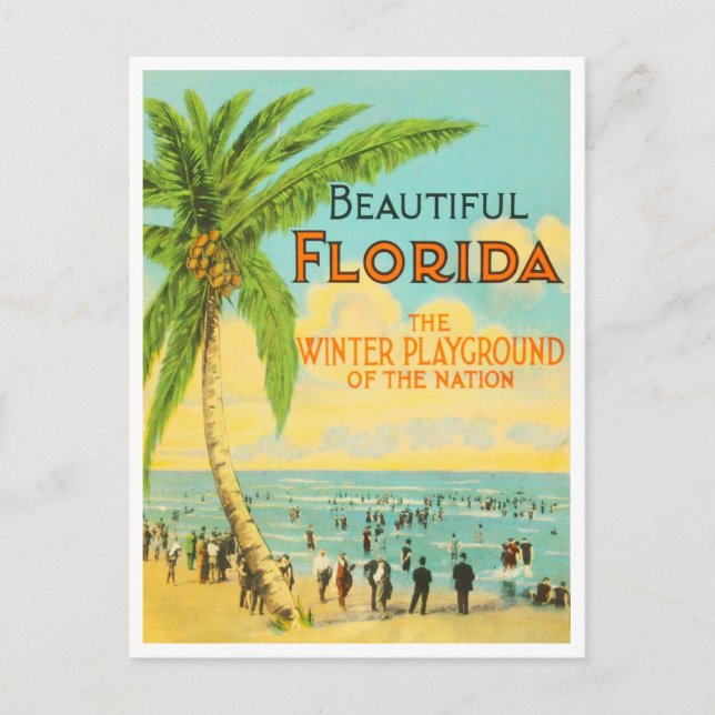 Greetings from Florida Vintage Travel Postcard (Front)