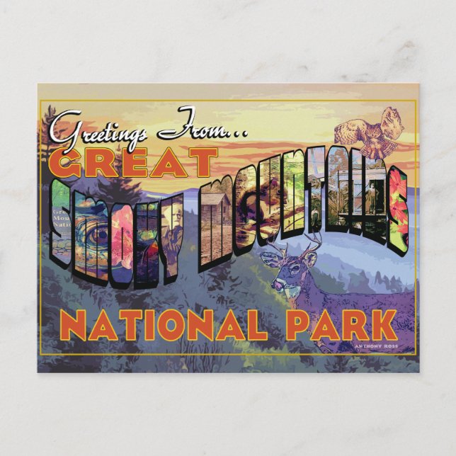 Greetings From Great Smoky Mountains National Park Postcard (Front)