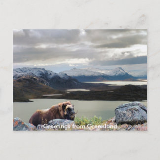 Greetings from Greenland 13 Postcard