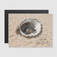 Greetings from Hilton Head Island Sea Turtle Card