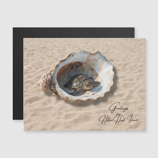 Greetings from Hilton Head Island Sea Turtle Card  (Front/Back)