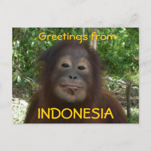 Greetings from INDONESIA Photo Postcard