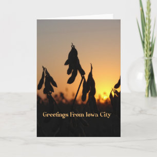 Greetings From Iowa City, Soybeans at Sunset Card