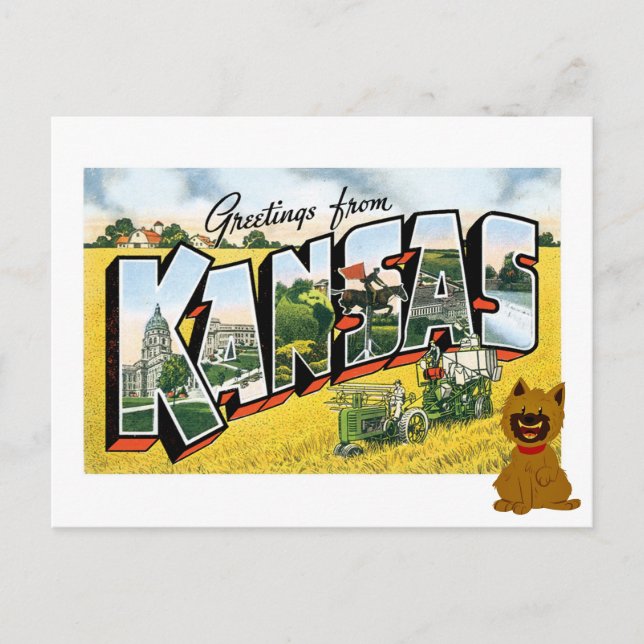 Greetings from Kansas! Cairn Terrier Toto Postcard (Front)