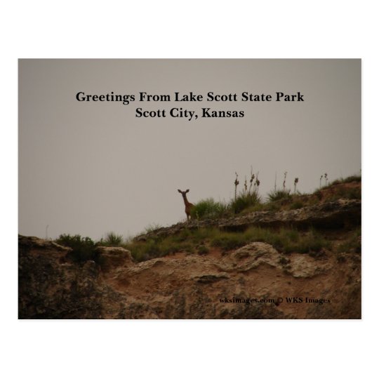 Greetings From Lake Scott State Park Postcard