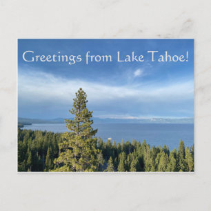 Greetings from Lake Tahoe Postcard