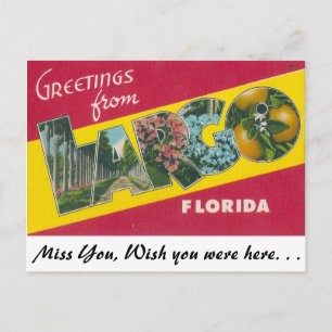 Greetings from Largo, Florida Postcard