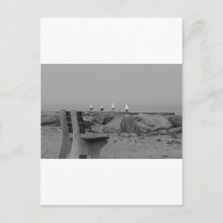 Greetings from Long Island, NY Postcard