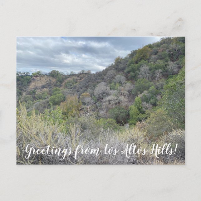 Greetings from Los Altos Hills! Postcard (Front)