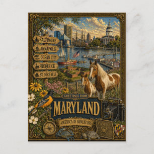 Greetings From Maryland Vintage Retro Art Postcard