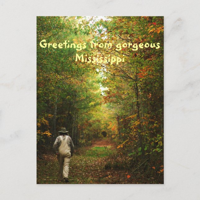 Greetings from Mississippi Postcard (Front)