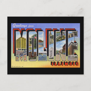 Greetings from Moline Illinois Postcard