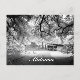 Greetings From Monroeville Alabama USA Design Postcard