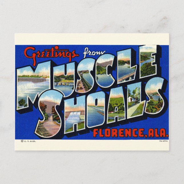 Greetings from Muscle Shoals, AL Postcard (Front)