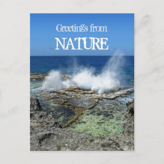 Greetings from Nature Postcard