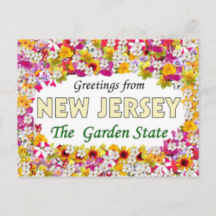 Greetings from New Jersey Postcard