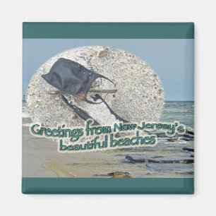 Greetings From New Jersey's Beautiful Beaches Magnet