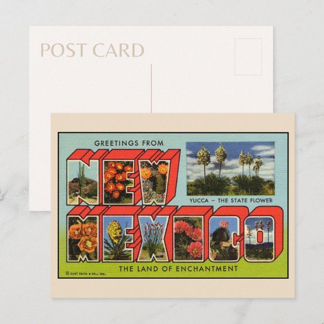 Greetings from New Mexico Postcard (Front/Back)