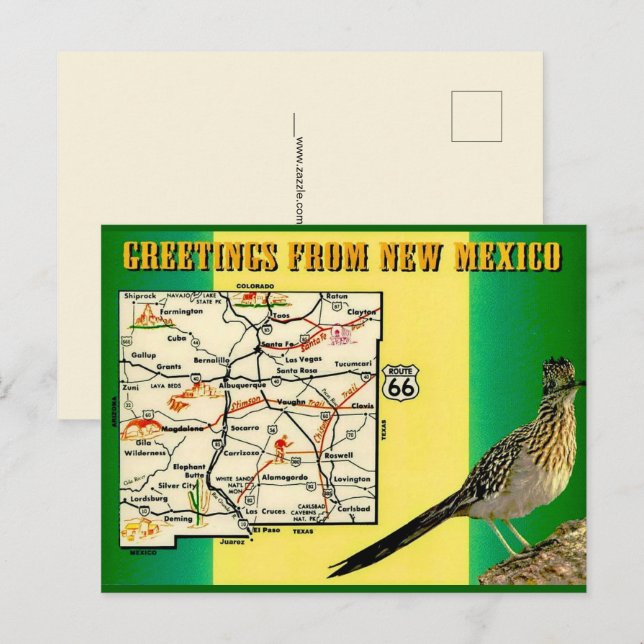 Greetings from New Mexico Postcard (Front/Back)