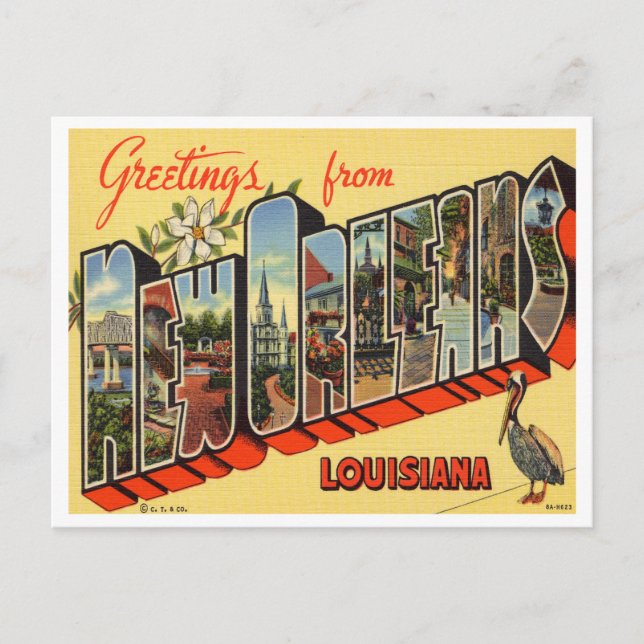 Greetings from New Orleans, Louisiana Travel  Postcard (Front)