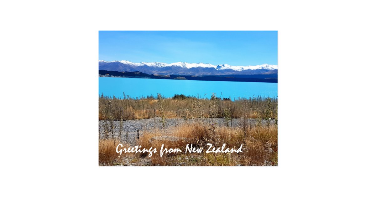 Greetings from New Zealand Postcard Zazzle.co.uk