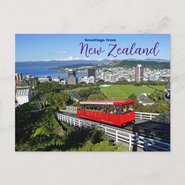 Greetings from New Zealand Postcard  (Front)