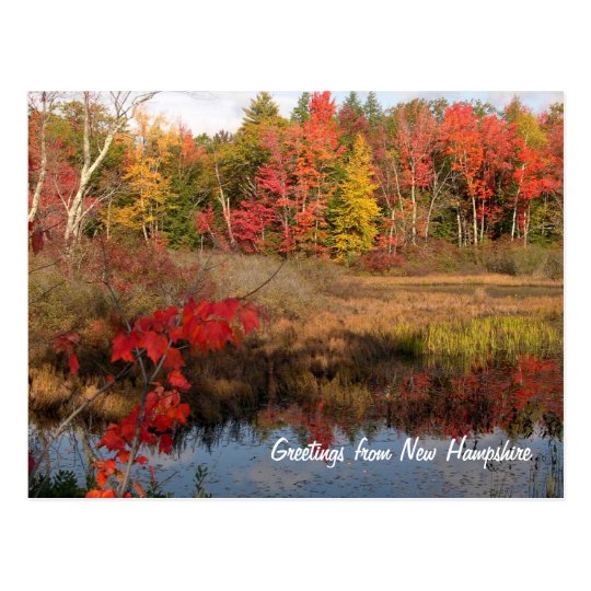Greetings From NH Fall Postcards
