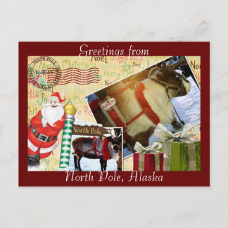 Greetings From North Pole, Alaska Postcard