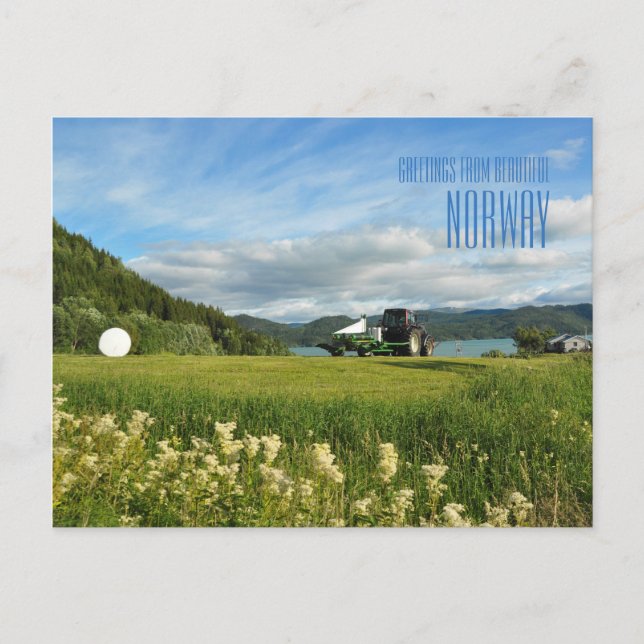 Greetings from Norway summer photo card (Front)
