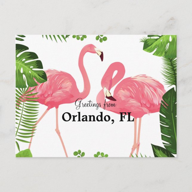Greetings from Orlando, FL--pink flamingos Postcard (Front)