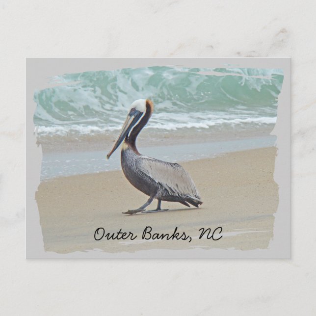 Greetings From Outer Banks OBX NC Postcard (Front)