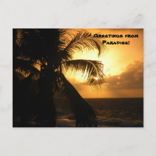 Greetings from Paradise Postcard
