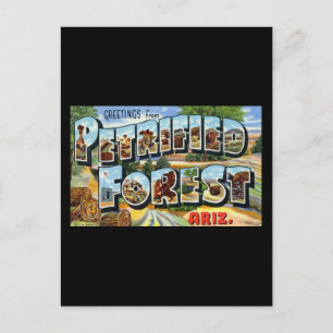Greetings from Petrified Forest Arizona Postcard