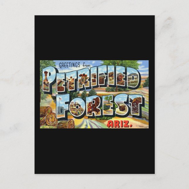 Greetings from Petrified Forest Arizona Postcard (Front)