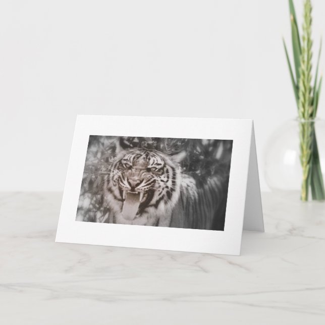 Greetings from Pride Rock Card (Front)