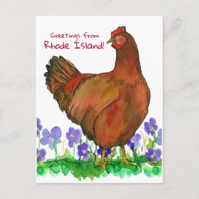 Greetings From Rhode Island Red Hen Violets Postcard (Front)
